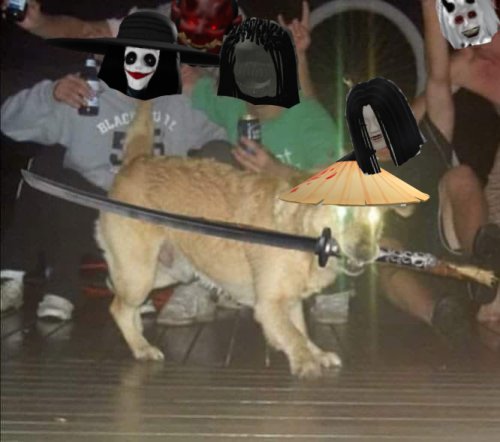 Собака с катаной Мем