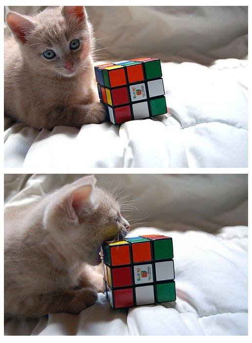 Кубик Рубика с кошечкой