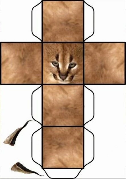 Распечатка котов из бумаги