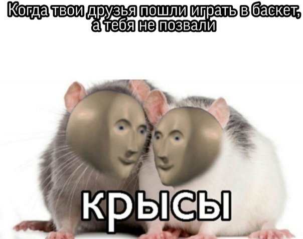 Две крысы Мем