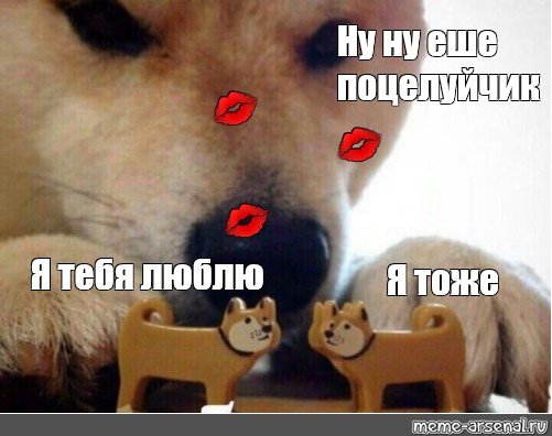 Мем с собакой соситес