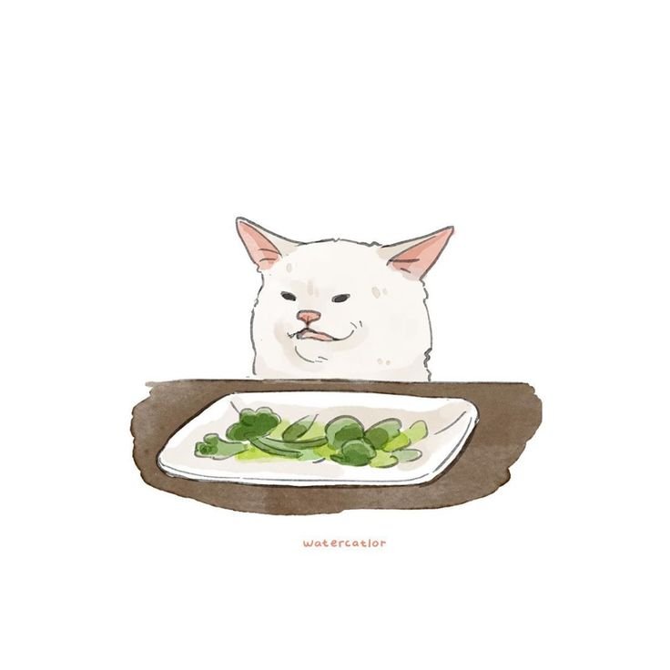 Мем с котом за столом