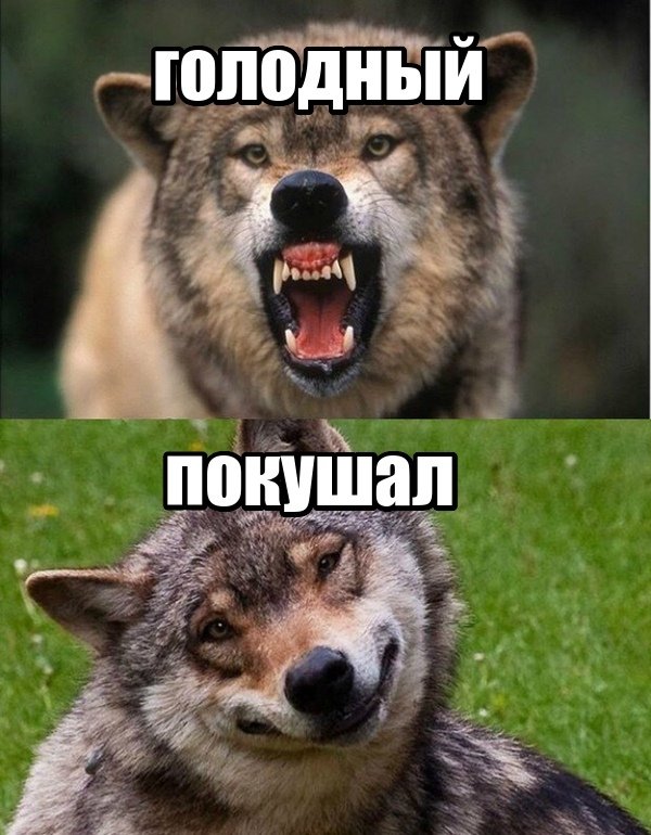 Голодный и злой