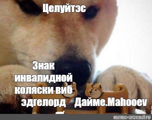 Мем Now Kiss собака