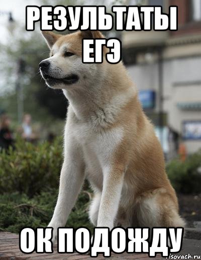 Ок жду Хатико Мем