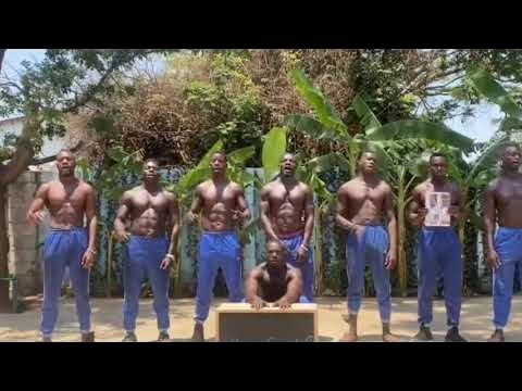 Стая негров