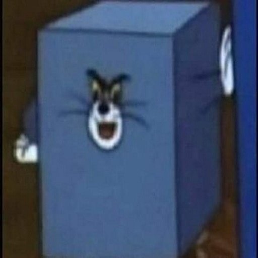 Квадратный кот том