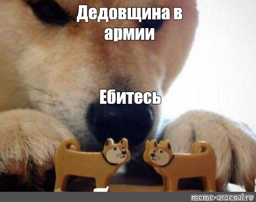 Акита ину Мем ебитес