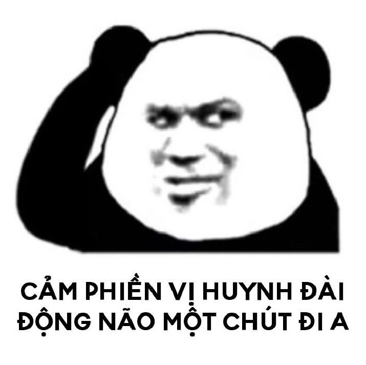 Панда с китайским лицом