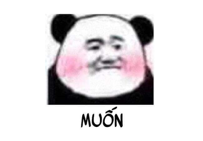 Китайские мемы с пандой