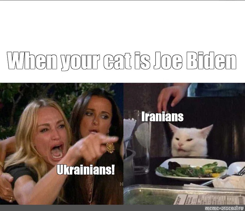 Мемы с котом за столом и девушками