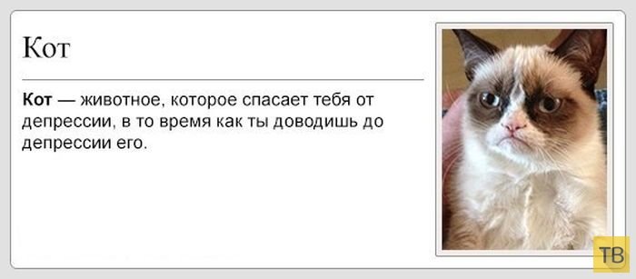 Коты в депрессии