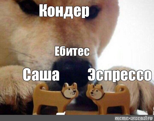 Now kiss собака