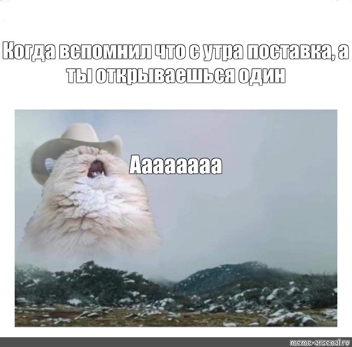 Кот орет в горах Мем