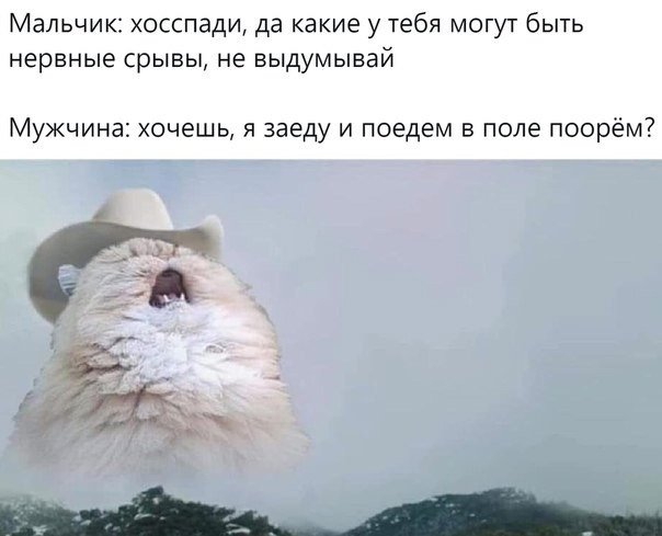 Кот в шляпе кричит в горах