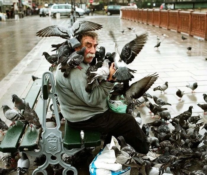 Человек птица