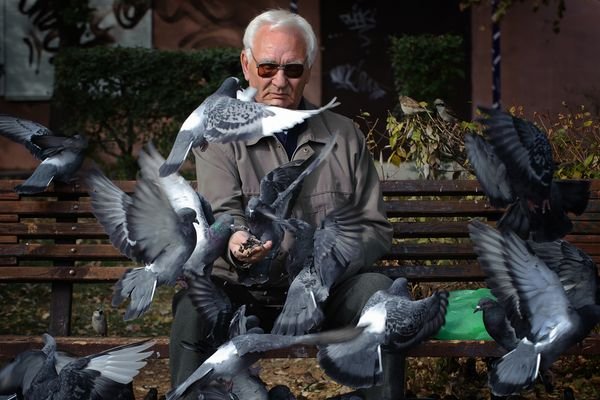 Человек голубь