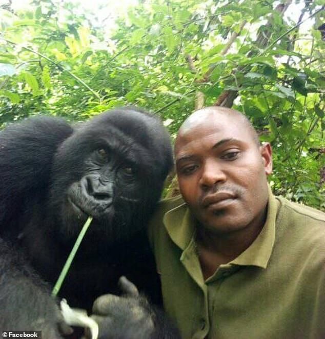 Человек рядом с обезьяной