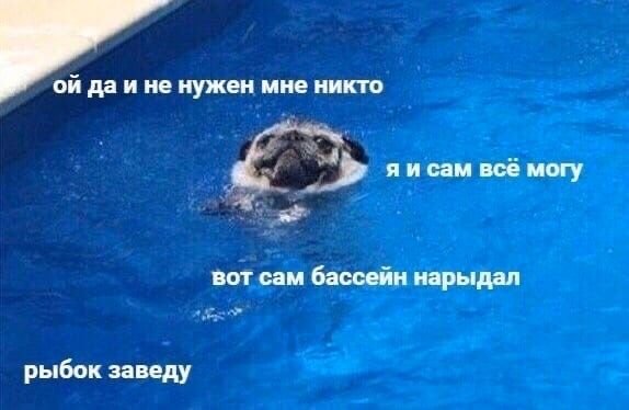 Бассейн Мем