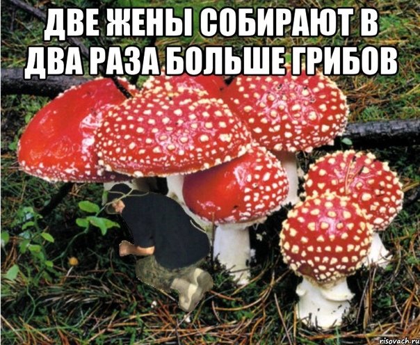 Человек мухомор