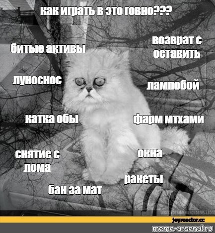 Депрессивный кот Мем