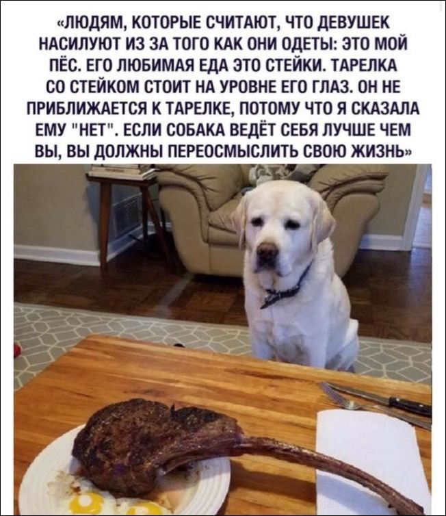 Голодный пес