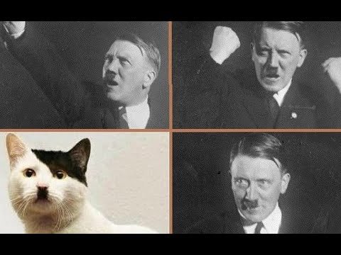 Кот Adolf Hitler