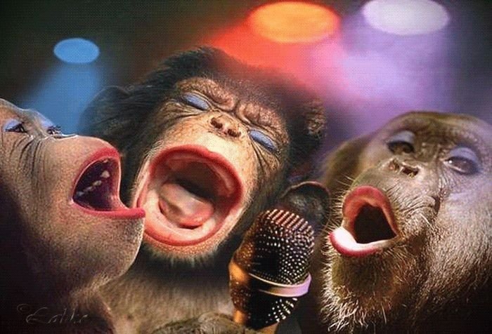 Обезьяна поет