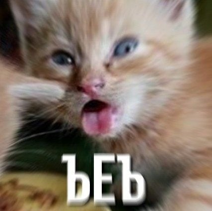Ъ Мем