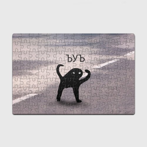 Мем ъеъ с котом