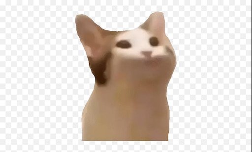 Кот из мема с открытым ртом