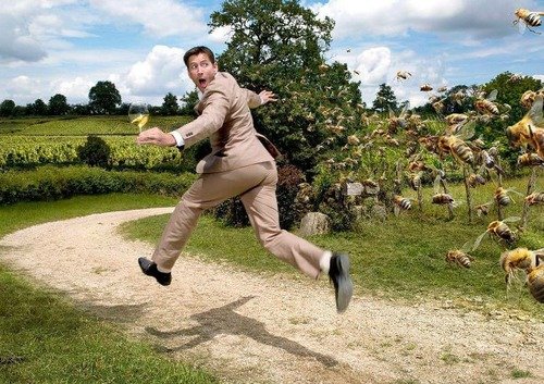 Человек убегает от пчел