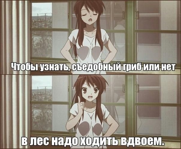 Приколы из аниме