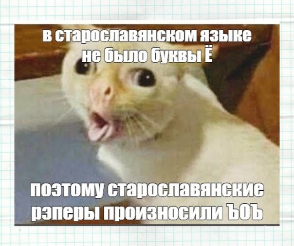 Кот говорящий ё