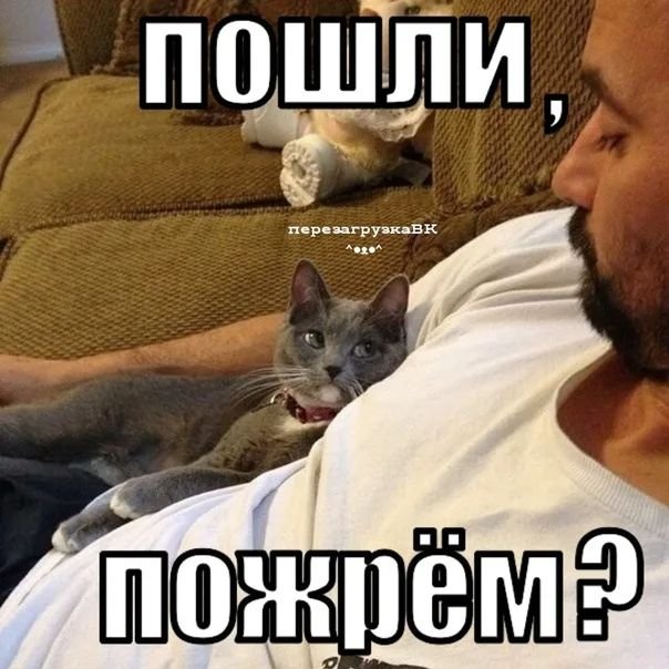 Пошли пожрем