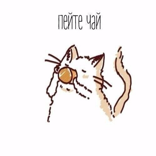 Котик с чаем Мем