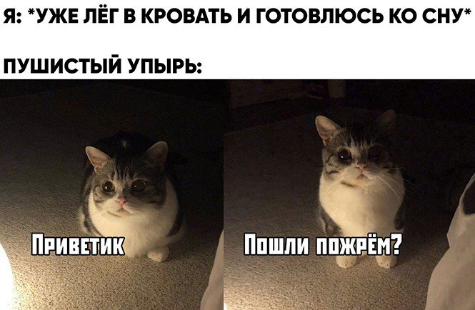 Пошли пожрем