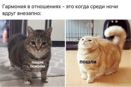 Пошли пожрем картинка