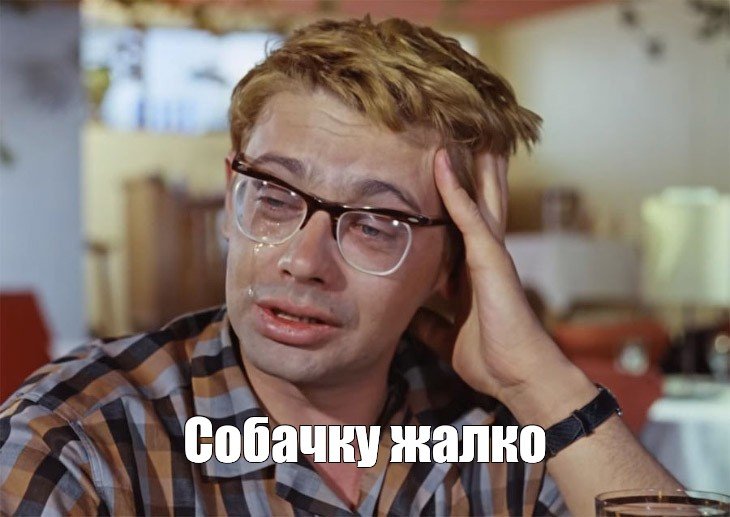 Жалкая собака