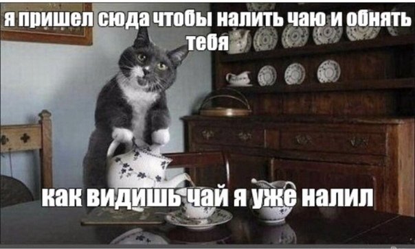 Я пришел как видишь я уже