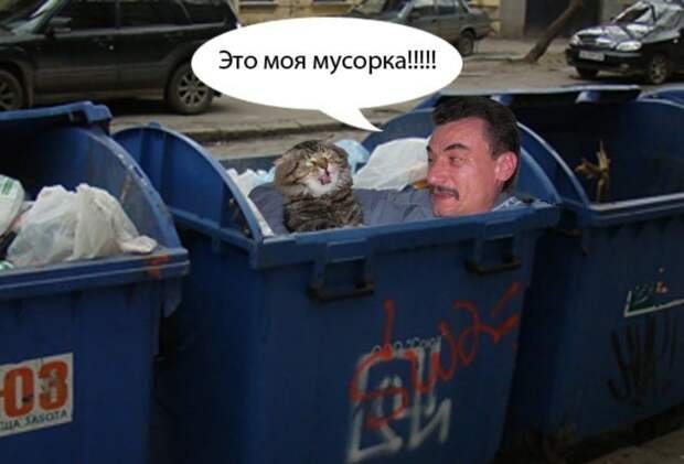 Мусорка Мем