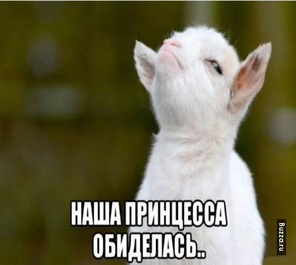 Мемы про обиду