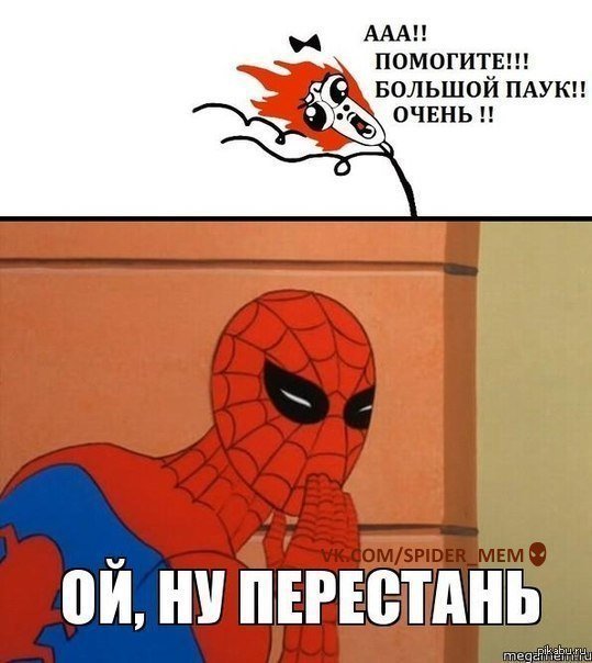 Мемы с пауками