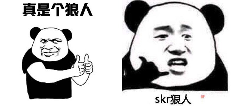 Китайские мемы с пандой