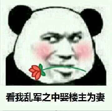 Китайские мемы с пандой