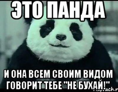 Панда всем своим видом говорит не бухайте