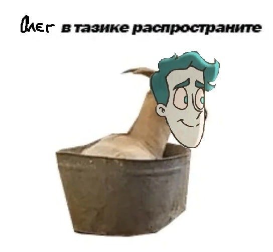 В тазике распространите Мем