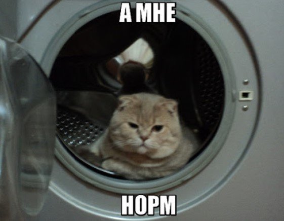 Мемы про стиральную машину