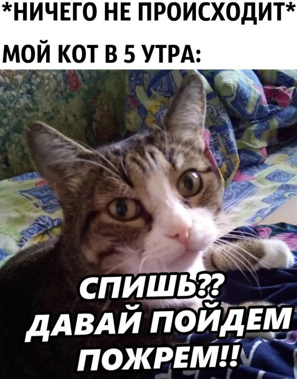 Открытка пошли пожрём