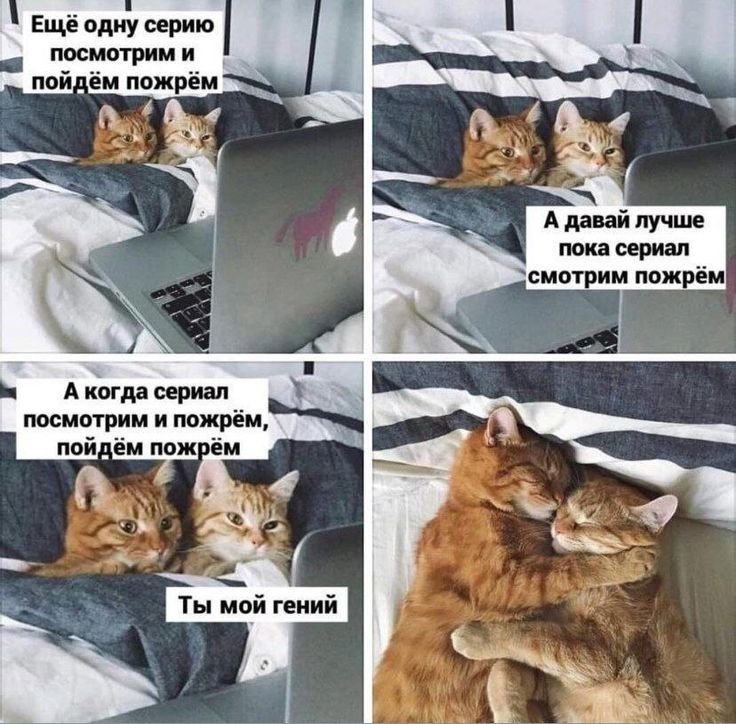 Пойдём пожрём